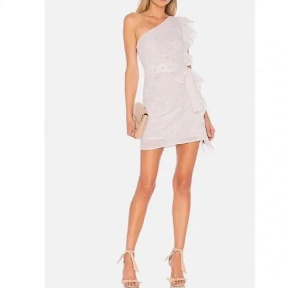 “LOVERS + FRIENDS” X Revolve Whitney Rose Dress - Picture 3 of 16